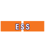 Executive Safety Services